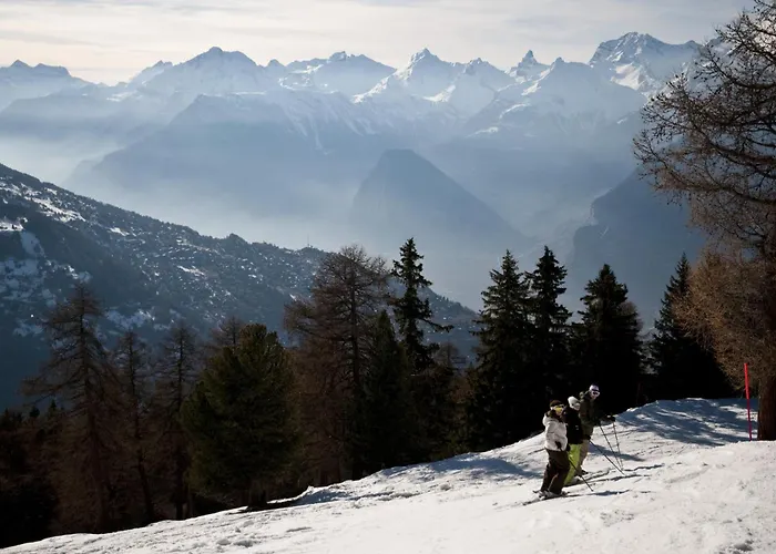 Magrappe M 229 - Lift 10 Pers 베이소나츠